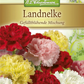 Gefüllte Gartennelkensamen