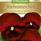 Stiefmütterchensamen 'Schweizer Riesen Abendglut'