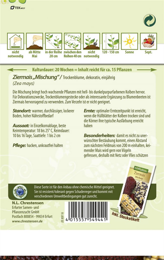 Ziermaissamen