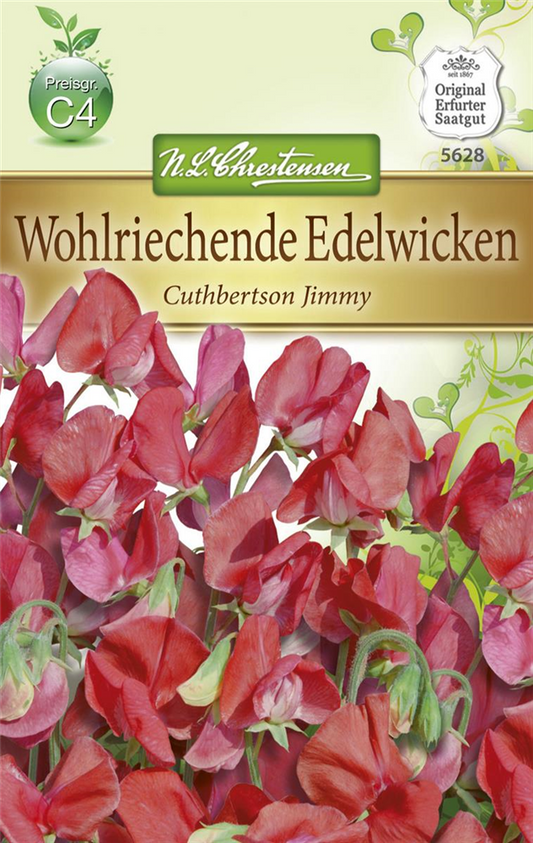Duftwickensamen 'Cuthbertson Jimmy'
