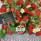Monatserdbeere 'Bowlenzauber'