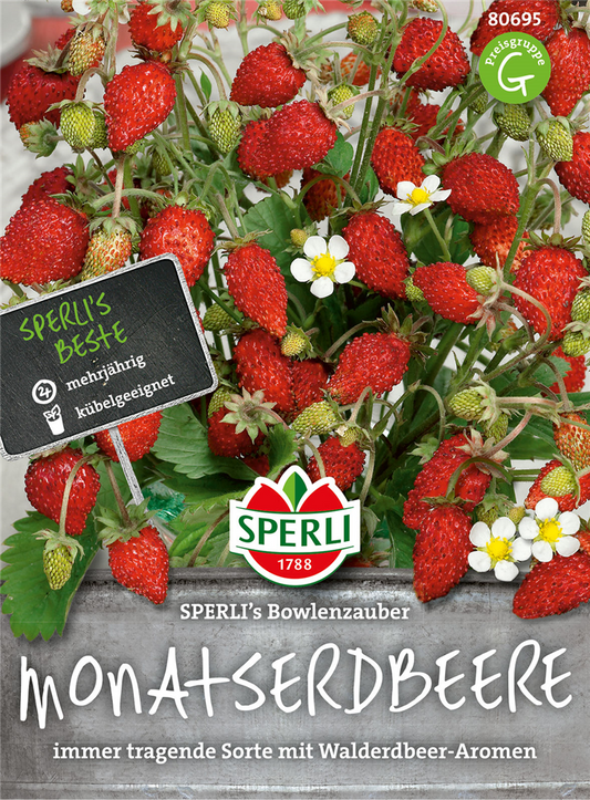 Monatserdbeere 'Bowlenzauber'