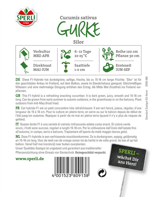 Gurke 'Silor F1'