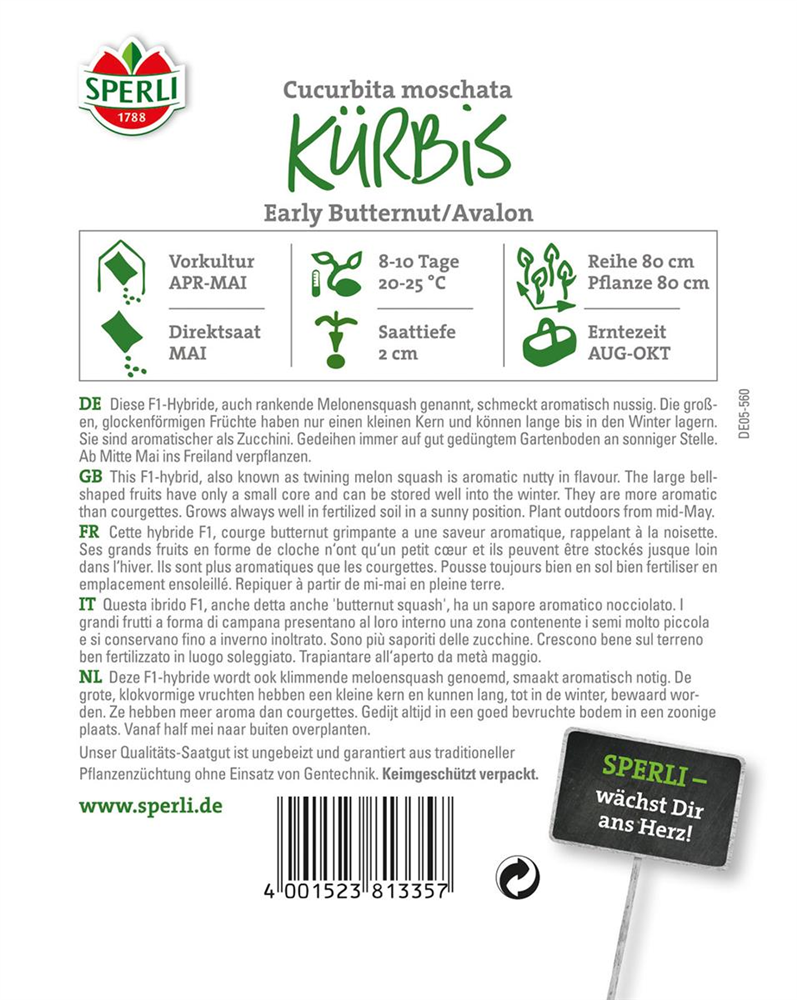 Butternuss-Kürbis 'Avalon'