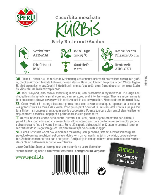 Butternuss-Kürbis 'Avalon'