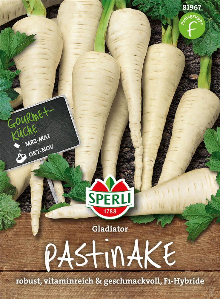 Pastinake 'Gladiator F1'
