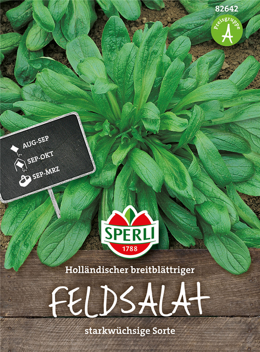 Feldsalat 'Holländischer Breitblättriger'