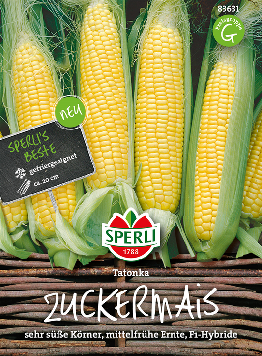 Zuckermais 'Tatonka F1'