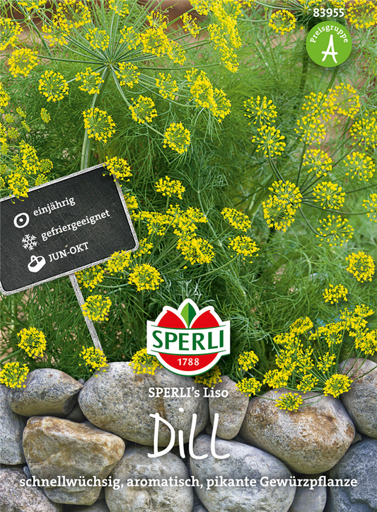 Dill 'Liso'