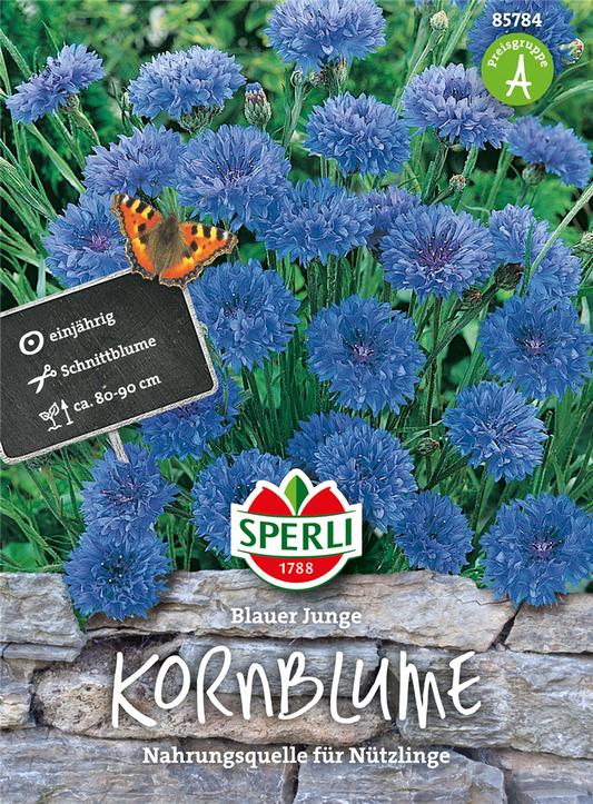 Kornblume 'Blauer Junge'