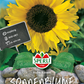Sonnenblume 'Hohe Riesen'