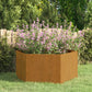 Garten-Pflanzgefäße 2Stk.sechseckig 46X40X45Cm Verzinkter Stahl