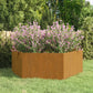 Garten-Pflanzgefäße 2Stk.sechseckig 46X40X45Cm Verzinkter Stahl