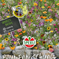 Blumenmischnung 'Späte Blütenpracht'