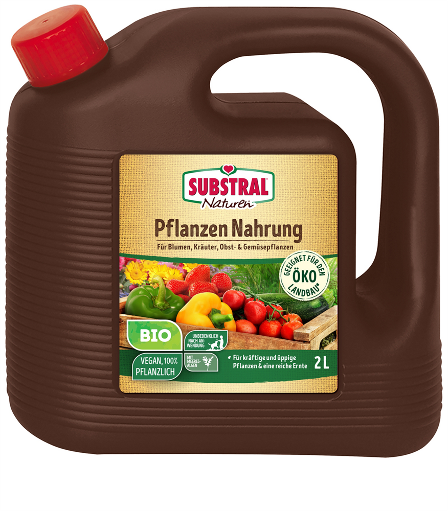 Naturen Bio Pflanzen Nahrung