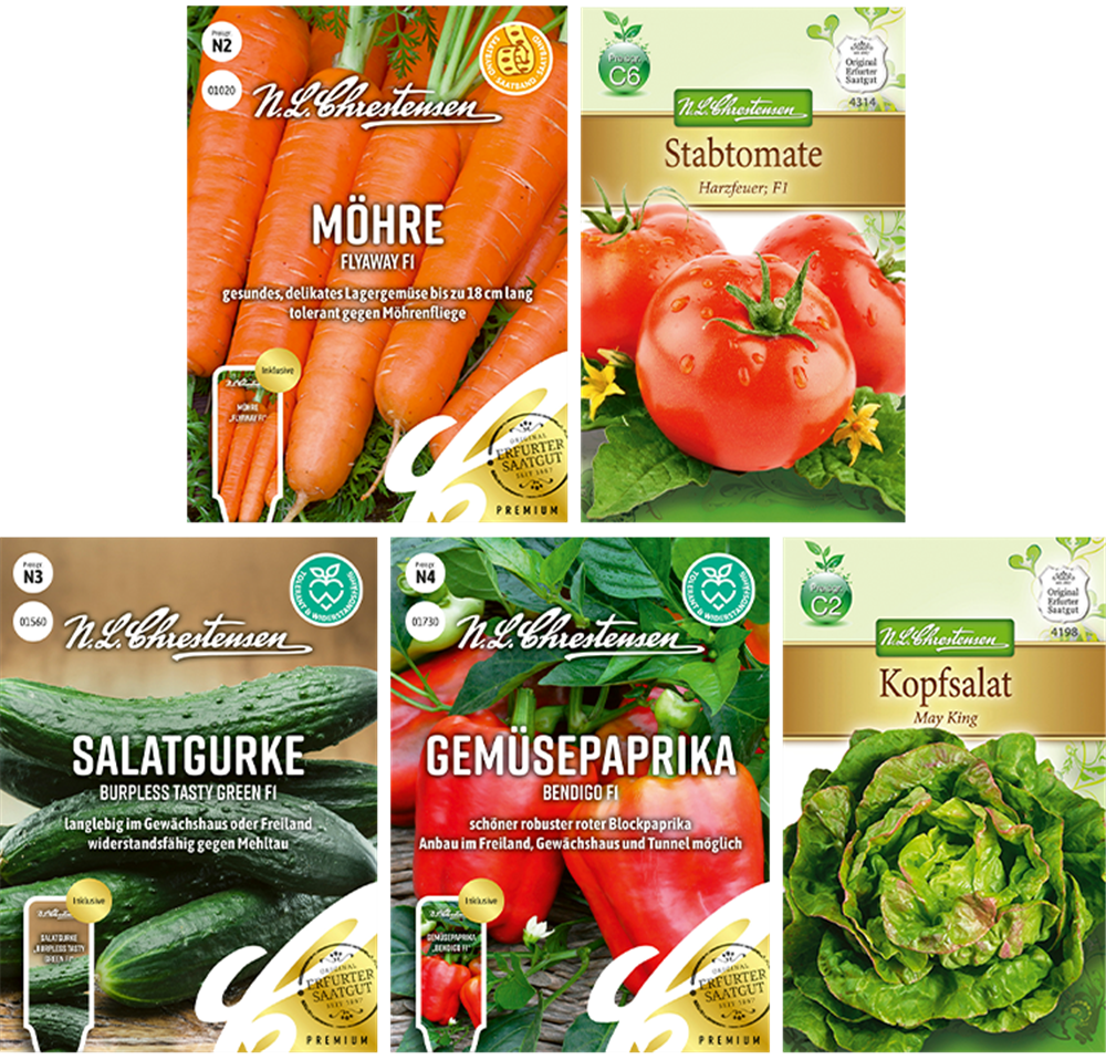 Saatgut Set 'Klassisches Gemüse'