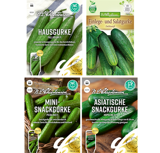 Saatgut Set 'Gurken'