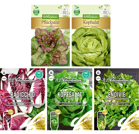 Saatgut Set 'Salat'