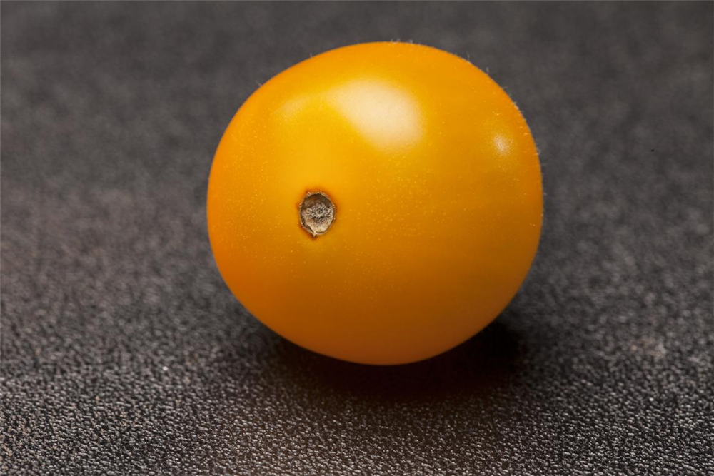 Cherry-Tomate-Samen