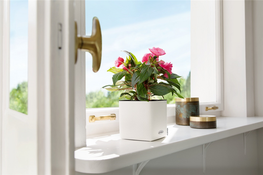 LECHUZA CUBE Color 16