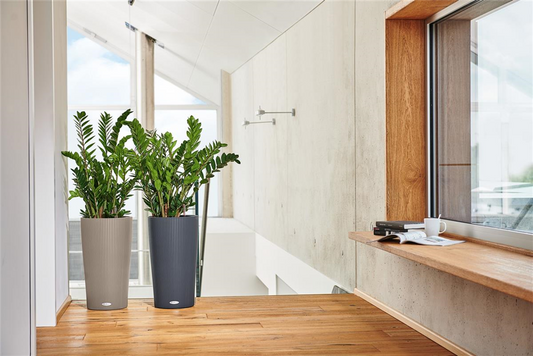 LECHUZA CILINDRO Color 32