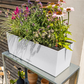 LECHUZA BALCONERA Stone 50