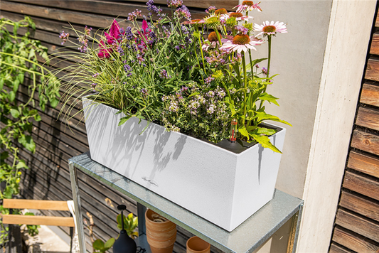 LECHUZA BALCONERA Stone 50