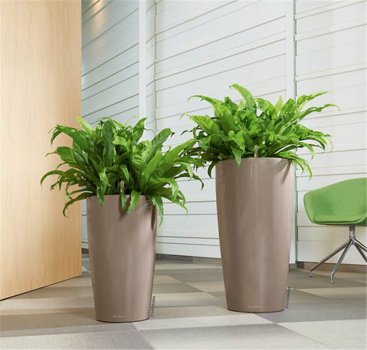 LECHUZA RONDO Premium 40