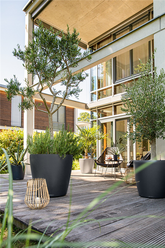 LECHUZA CLASSICO Color 60