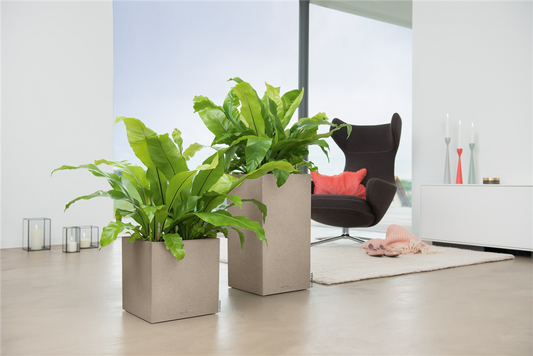 LECHUZA CANTO Stone 30 low