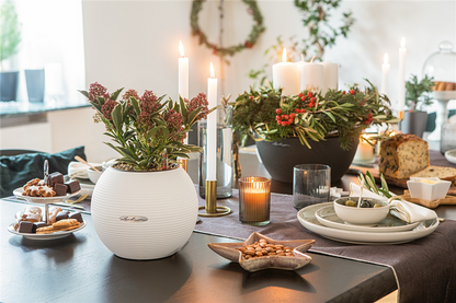 LECHUZA PURO Color 20