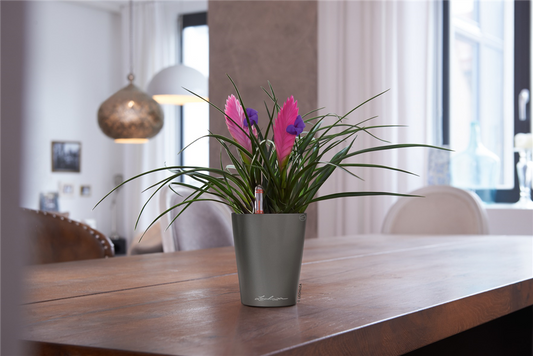 LECHUZA MINI-DELTINI