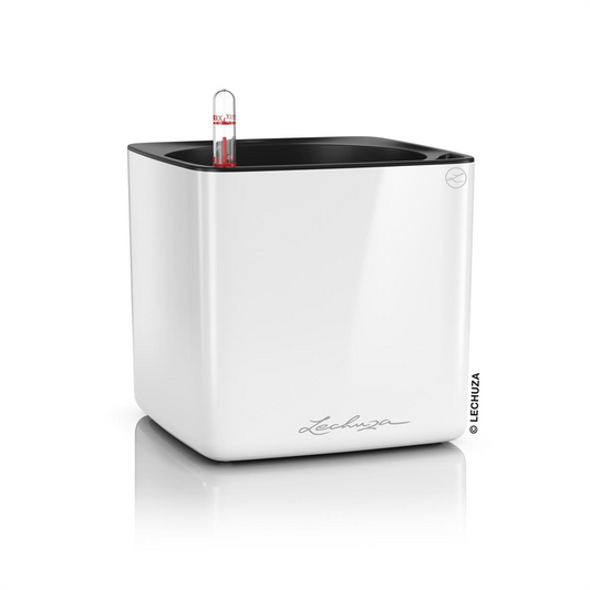 LECHUZA CUBE Glossy 16