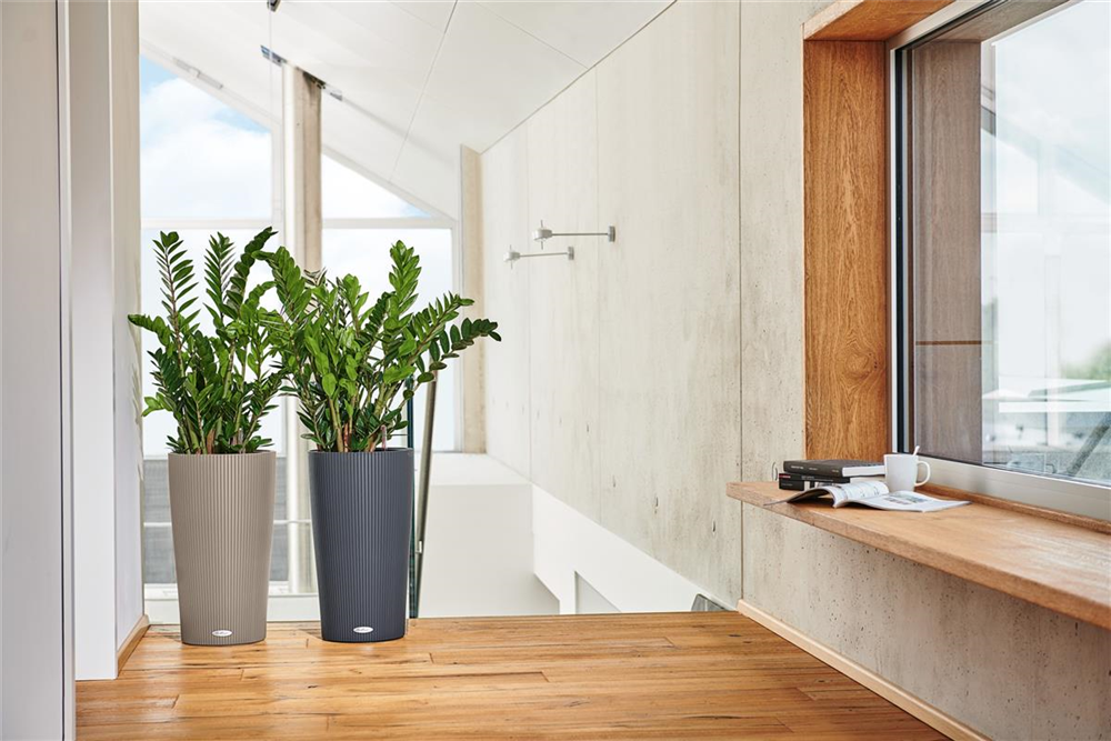 LECHUZA CILINDRO Color 23