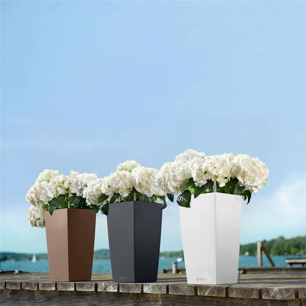 LECHUZA CUBICO Color 22