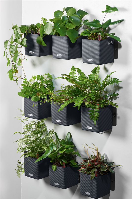 LECHUZA Green Wall Home Kit Color