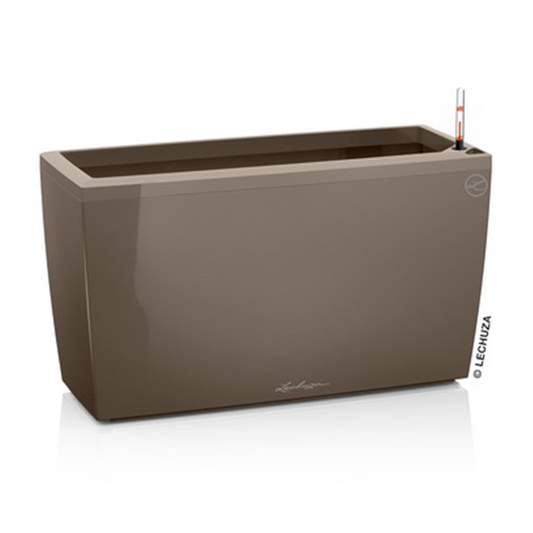 LECHUZA CARARO Premium