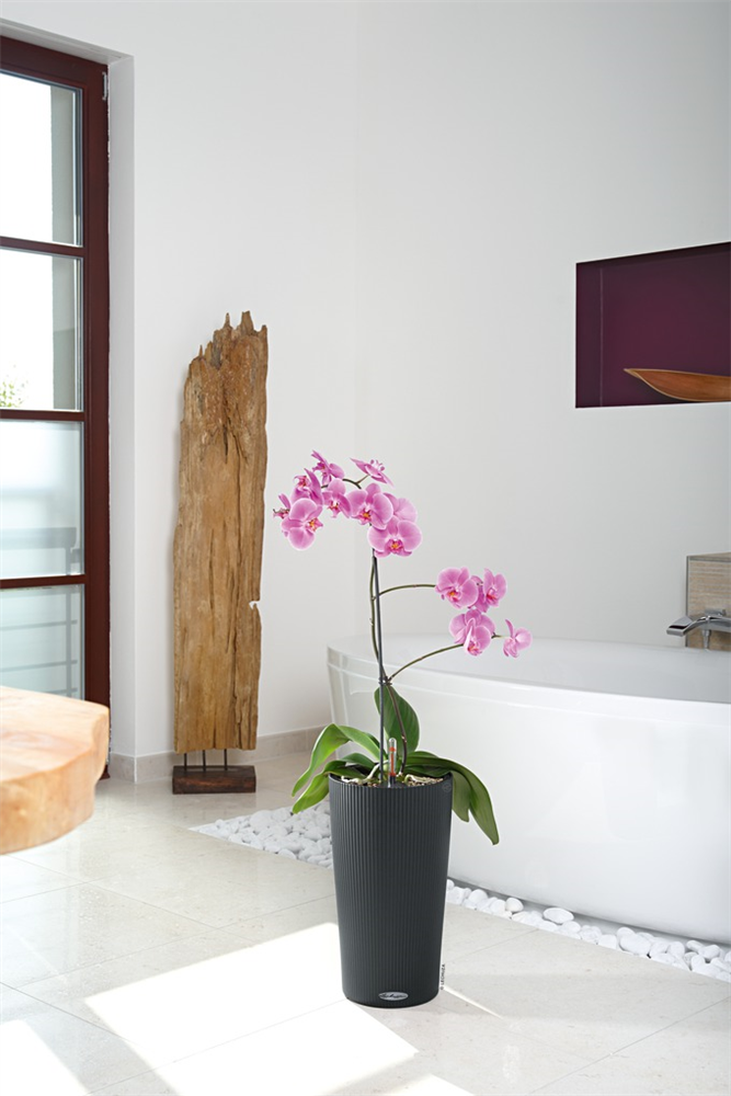 LECHUZA CILINDRO Color 23