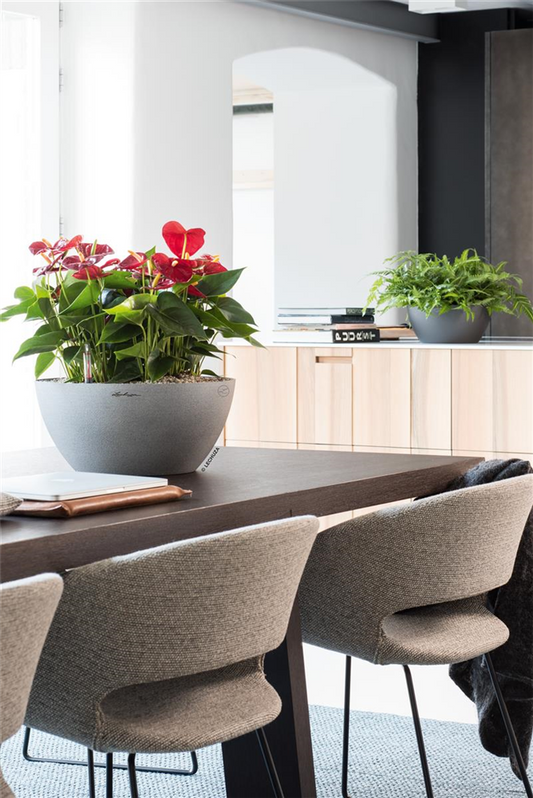 LECHUZA Pflanzschale CUBETO Stone 30