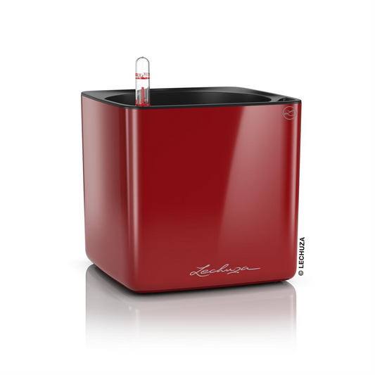 LECHUZA CUBE Glossy 16