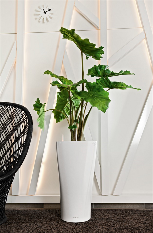 LECHUZA DELTA Premium 30