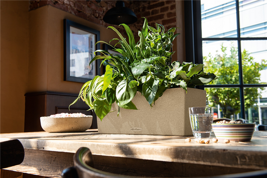 LECHUZA BALCONERA Stone 50