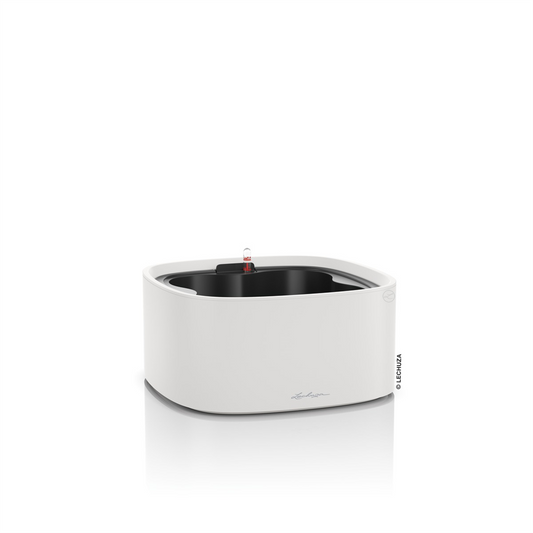 LECHUZA PILA Color Stick-System