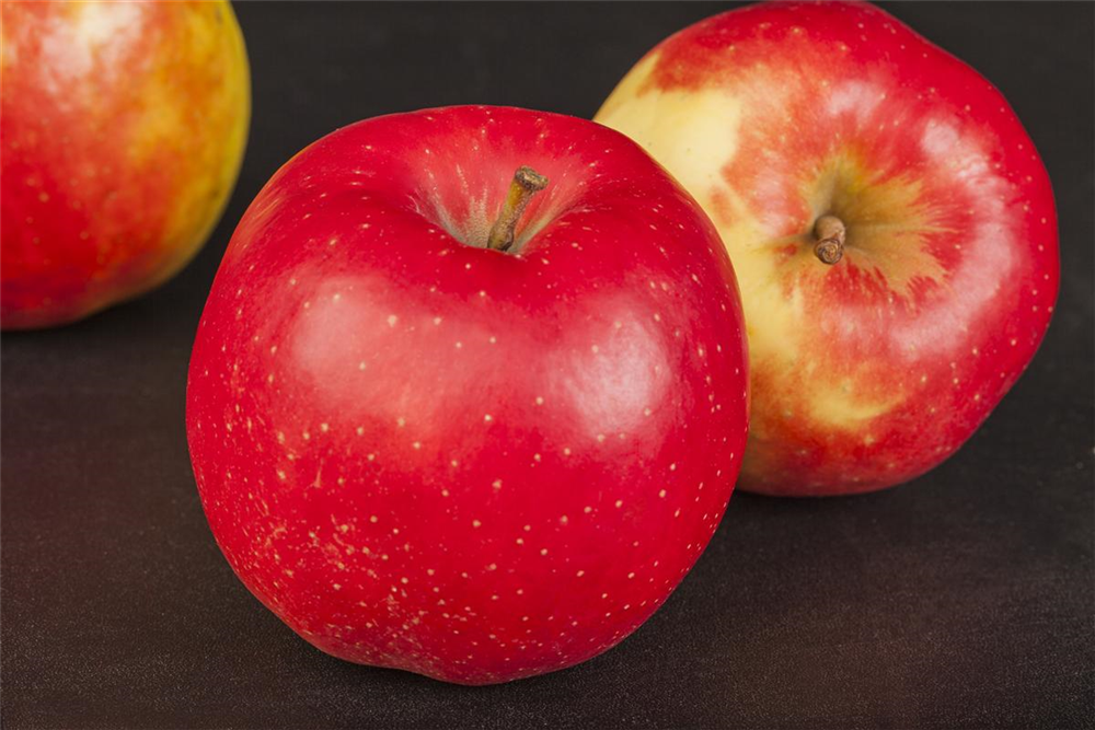 Apfel 'Jonagold'
