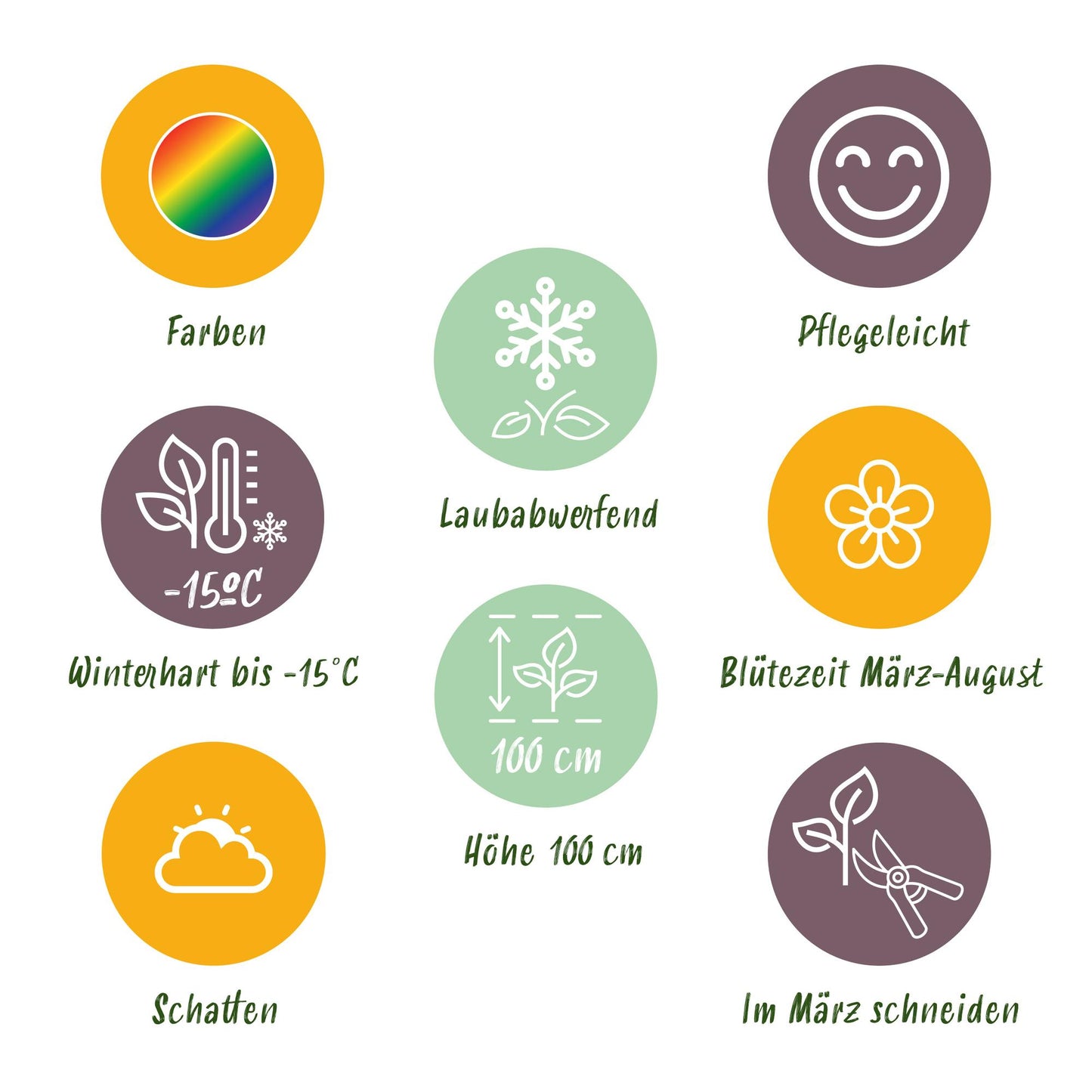 Stauden paket - Schatten - 24 Stauden - Für 3 m2 - Verschiedene Farben - Wenig Pflege - Topf 11cm