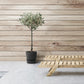 Olea - Ø19cm - ↕90cm