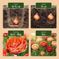 24x Tulipa Gudoshnik Double - Double tulip Gudoshnik - Miscellaneous