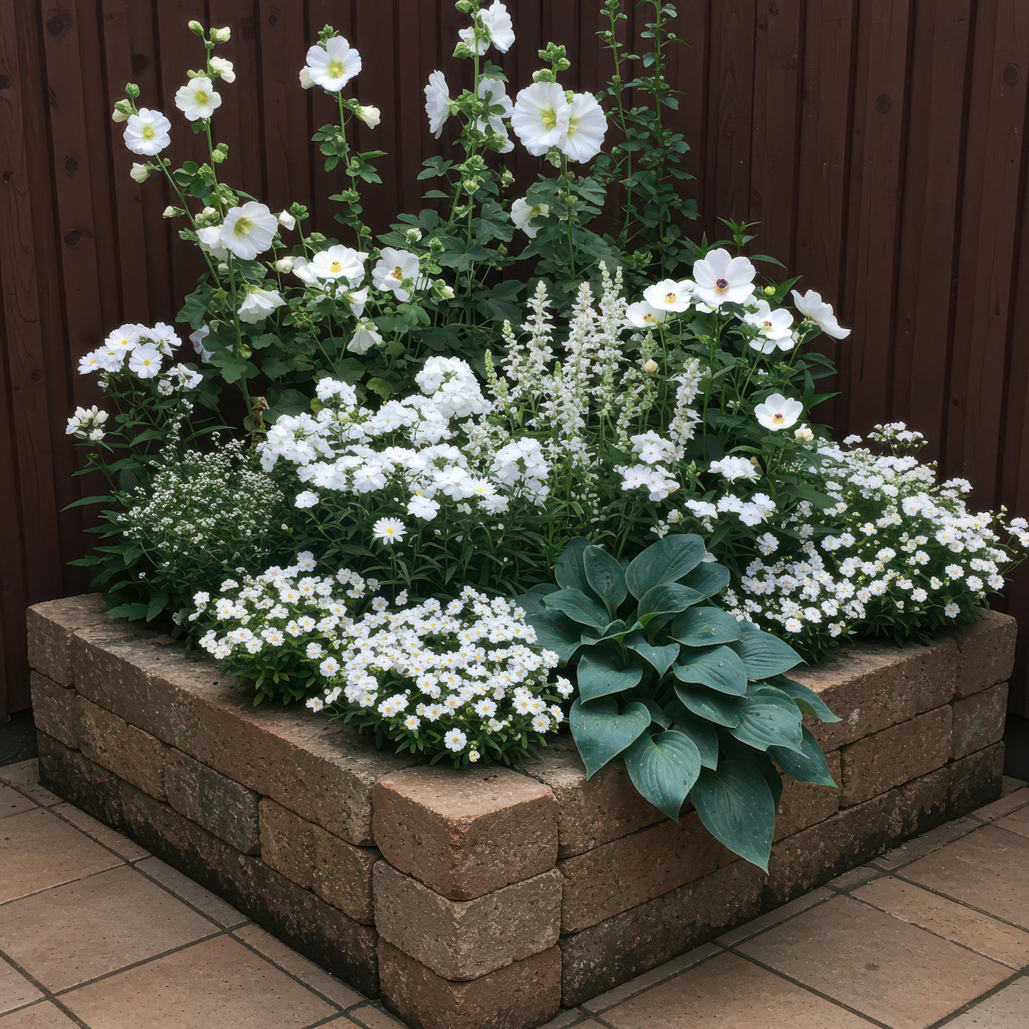 Stauden pakket - Farbe Weiß - 8 Stauden - Für 1 m2 - Verschiedene Farben - Wenig Pflege - Topf 11cm