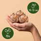 70x Bulb Dry Garden - Dry Garden Bulb Collection - Miscellaneous -Summer bloomer