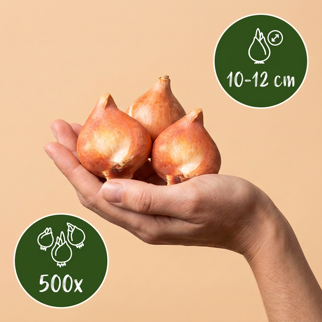 500x Bulb Garden Mix - Bulb Garden Mix - Miscellaneous - Summer bloomer